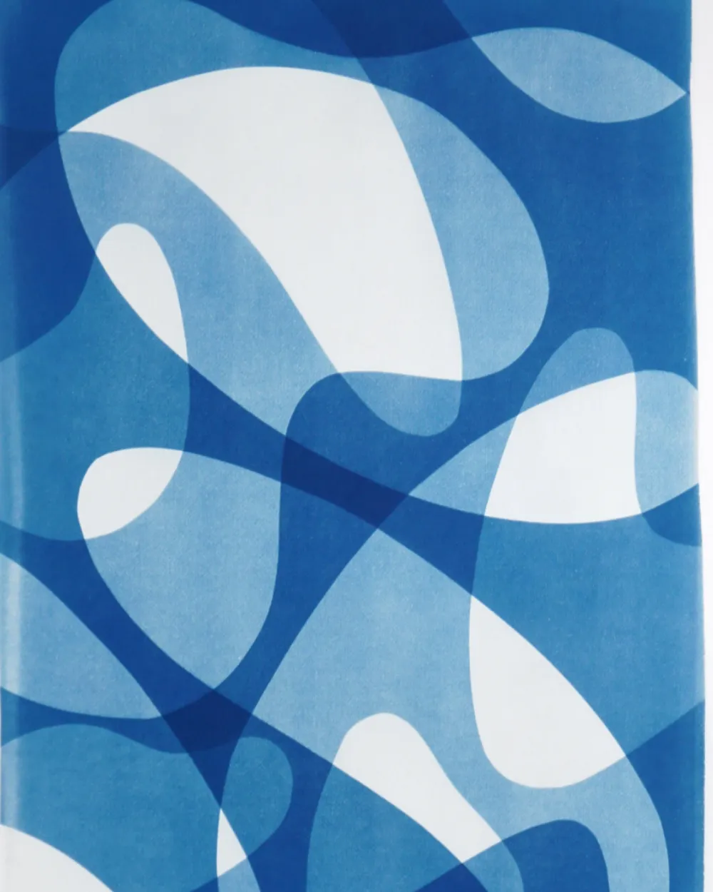 Atelier cyanotype pour enfants — atelier argentique, Les Trois Bains