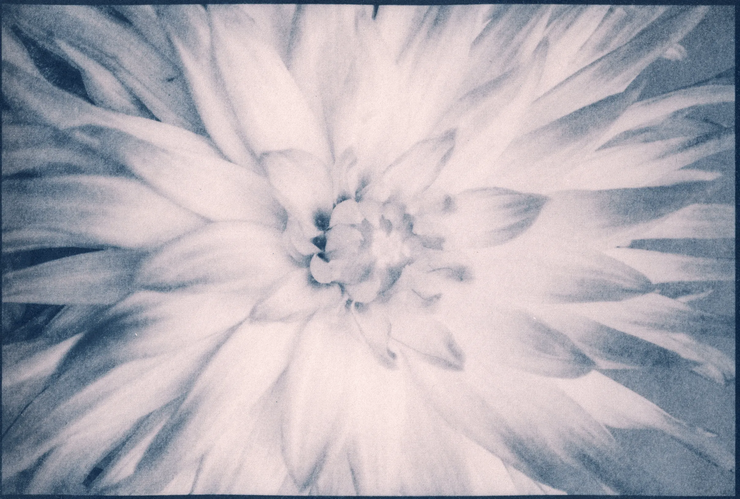 Initiation au virage cyanotype — atelier argentique, Les Trois Bains