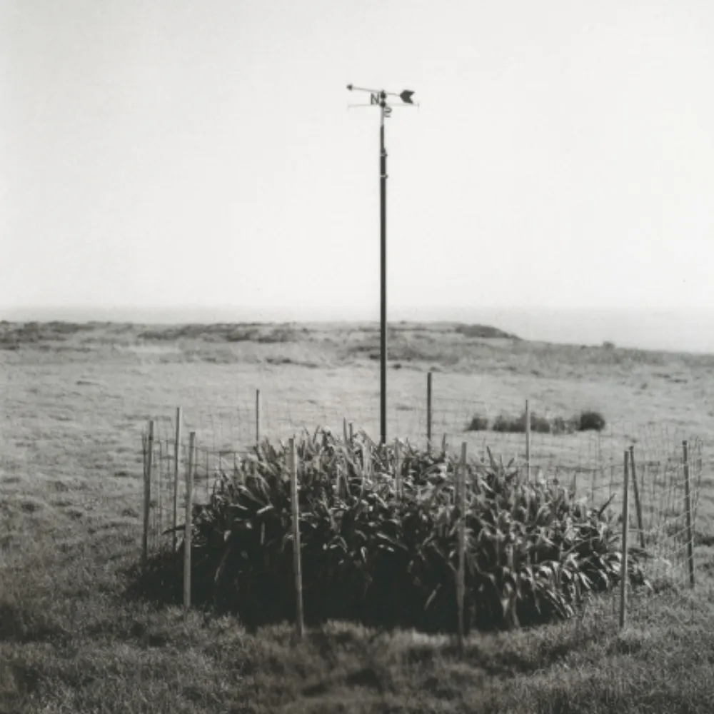 Initiation au virage argentique sur papier baryté — atelier argentique aux Trois Bains