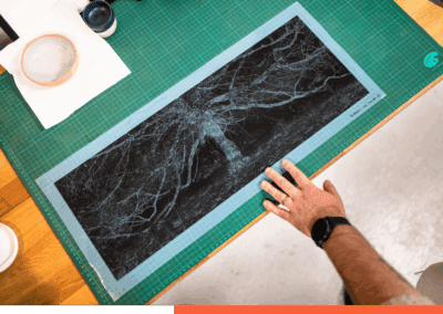 Cyanotype sur papier