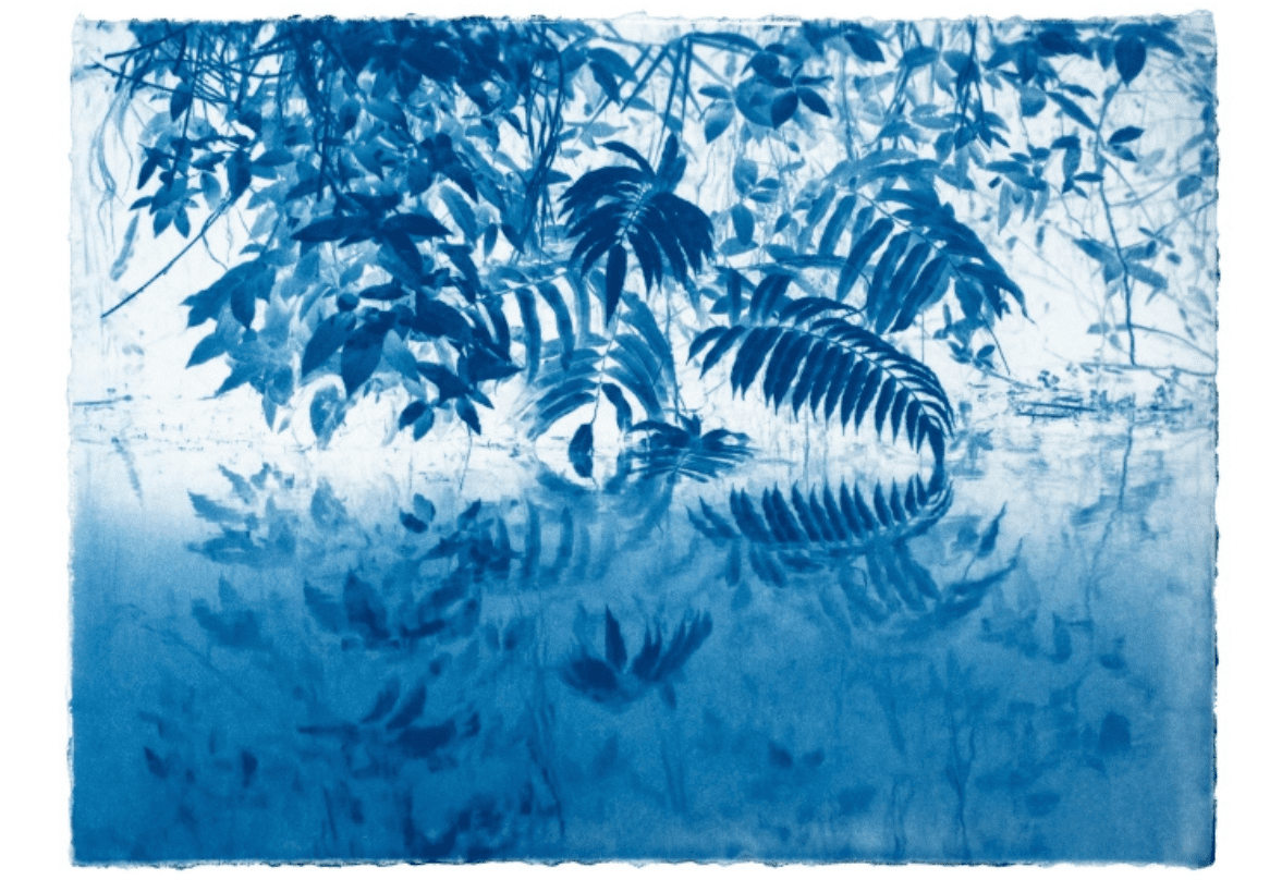 New-cyanotype